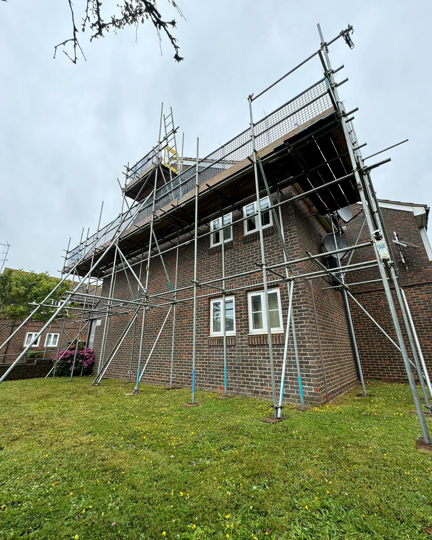 DMB Scaffolding project