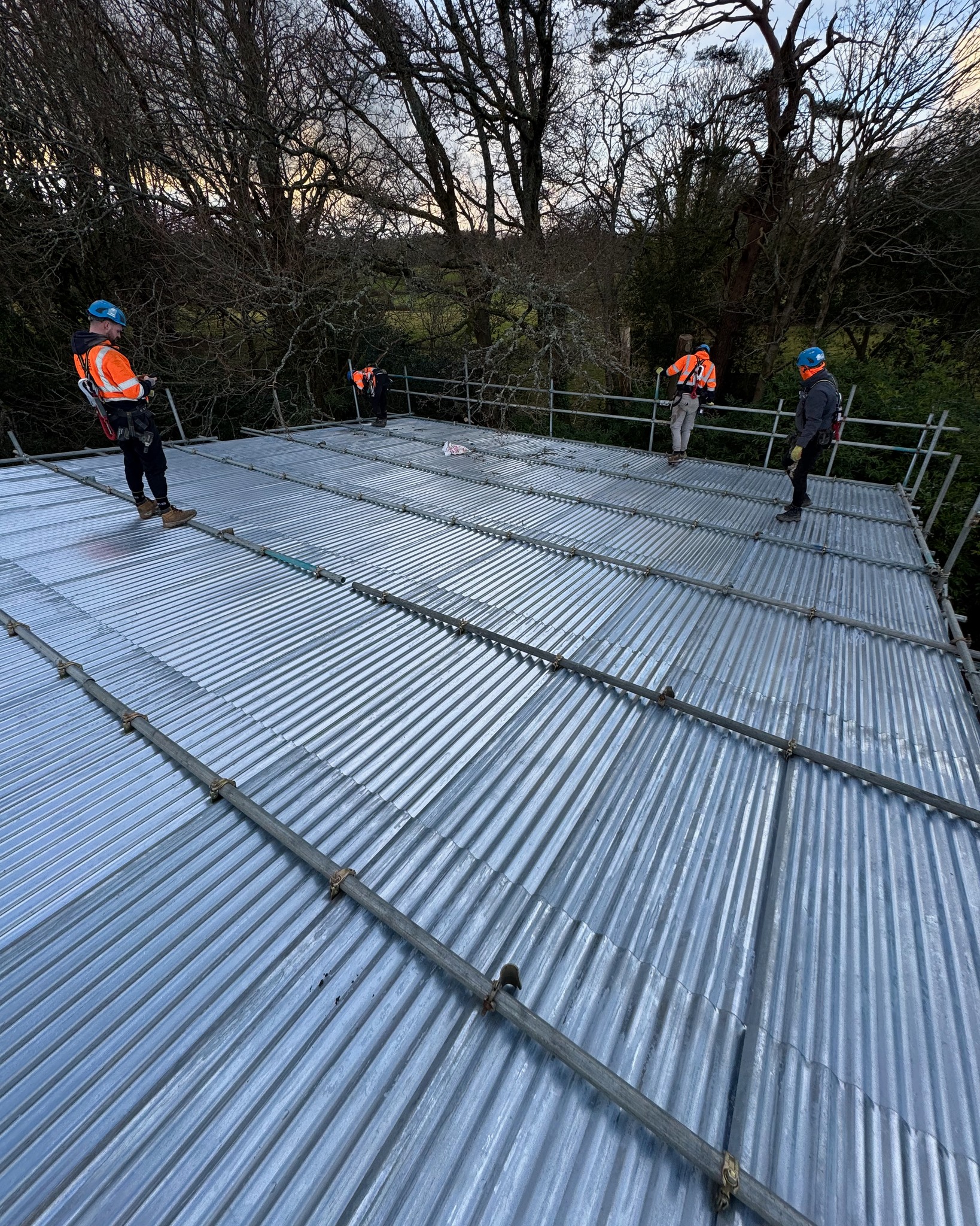 DMB Scaffolding project