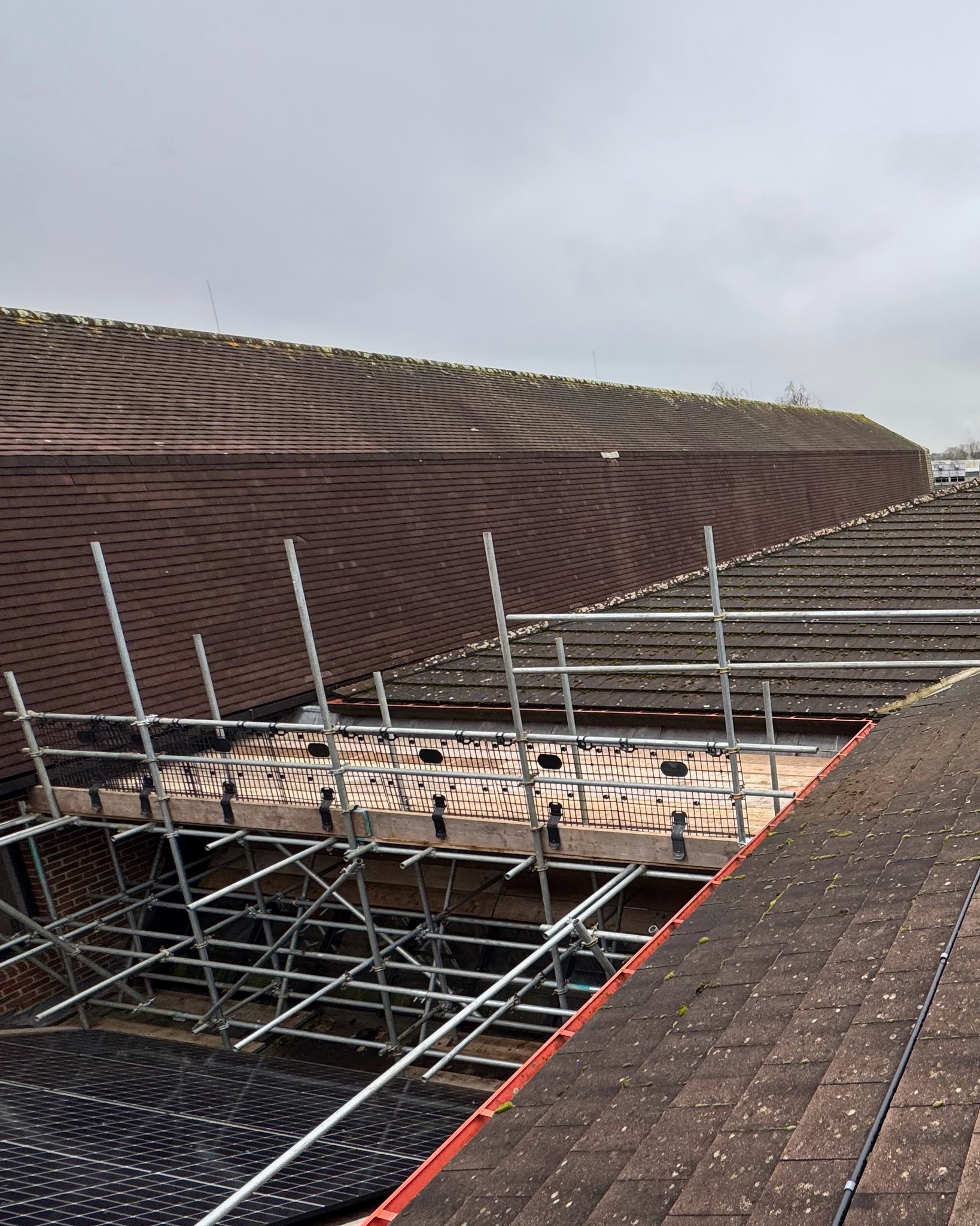 DMB Scaffolding project