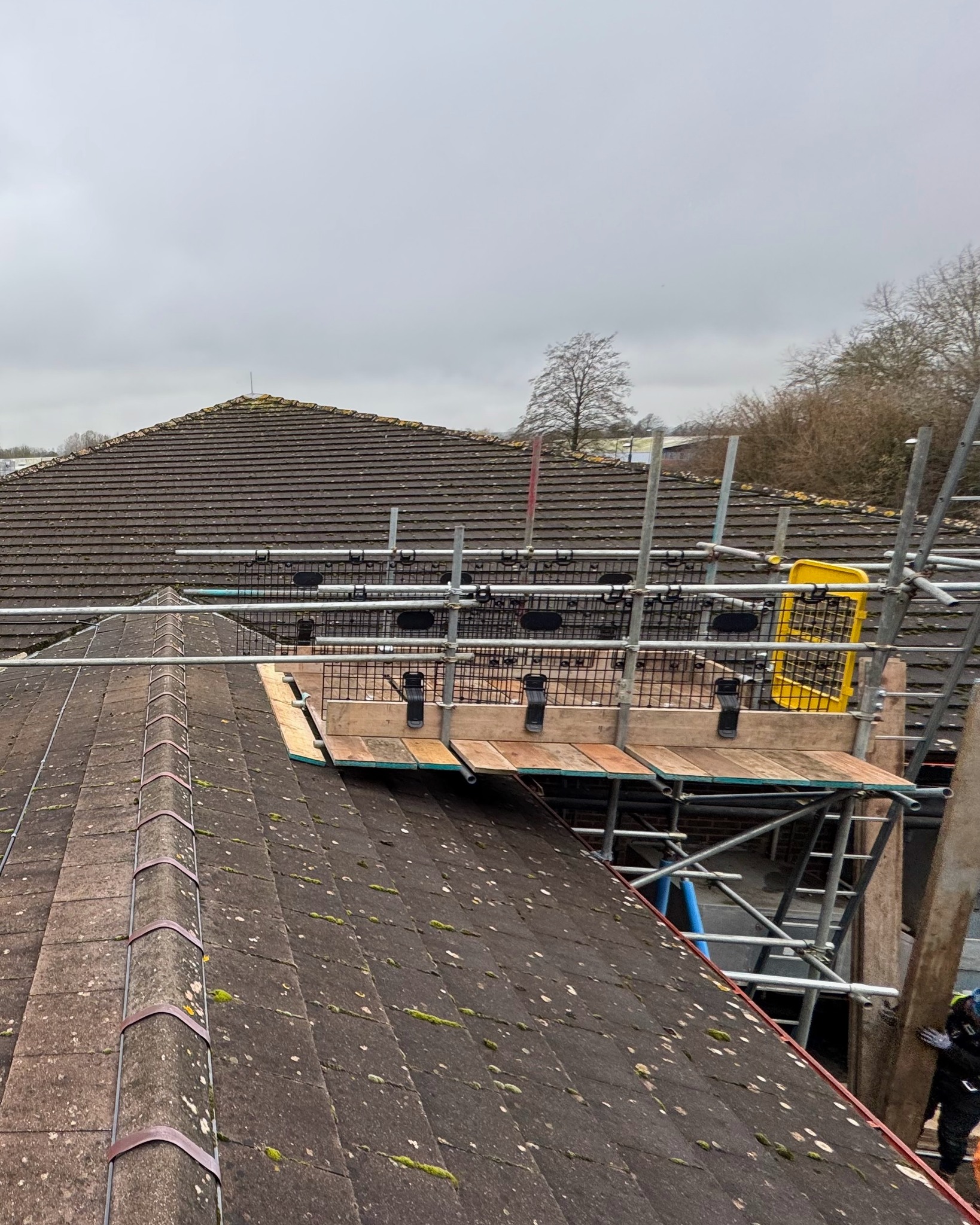 DMB Scaffolding project