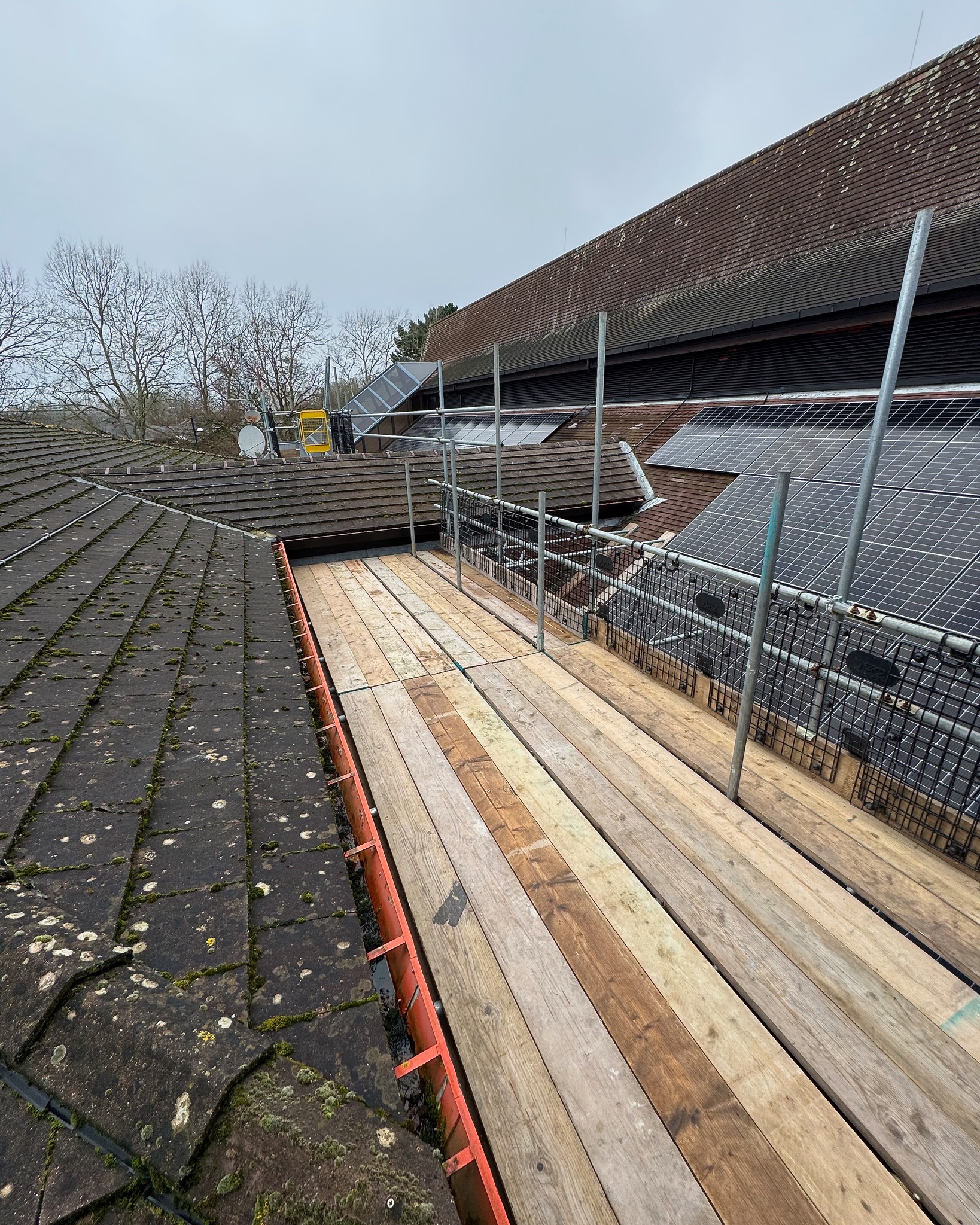 DMB Scaffolding project