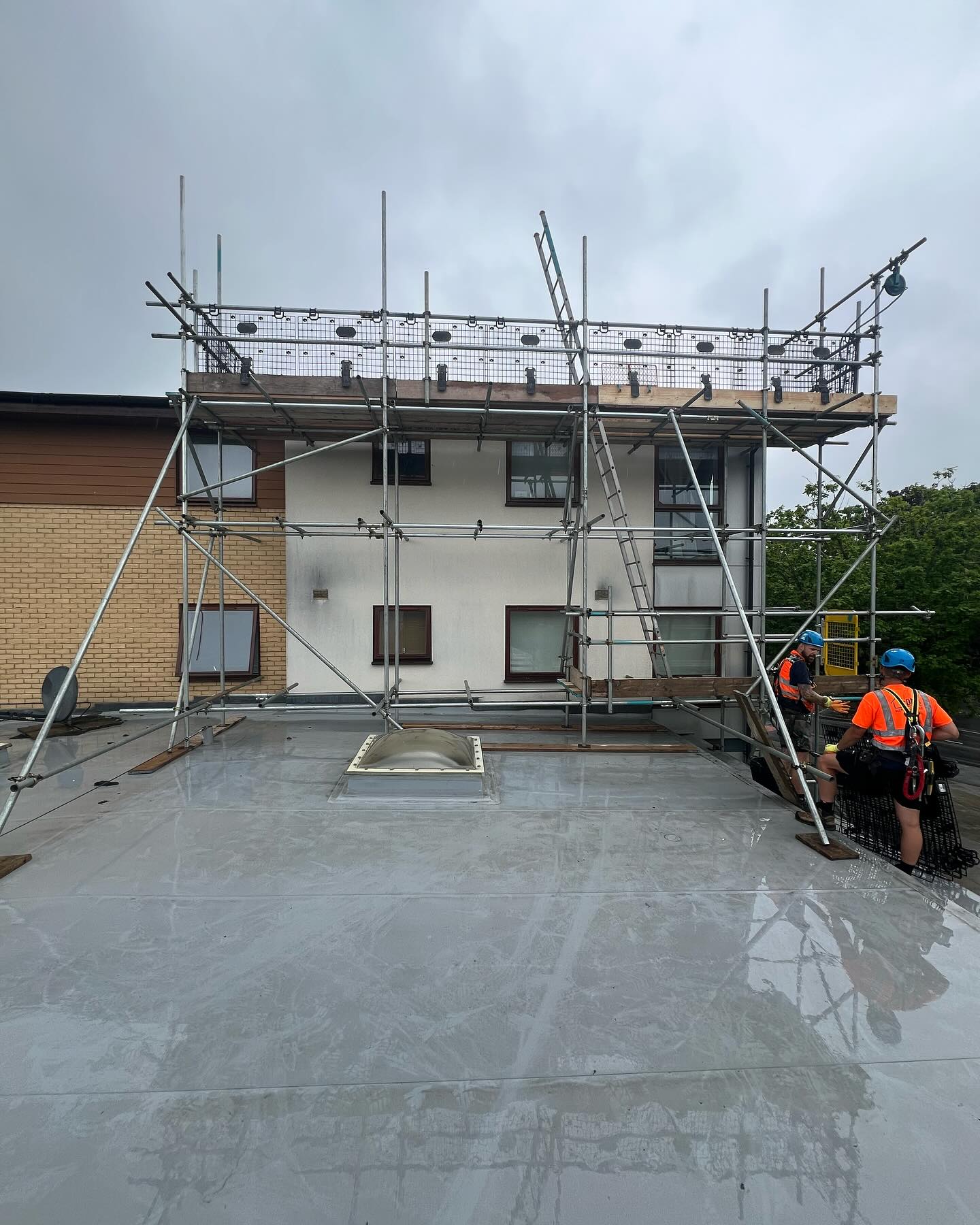 DMB Scaffolding project