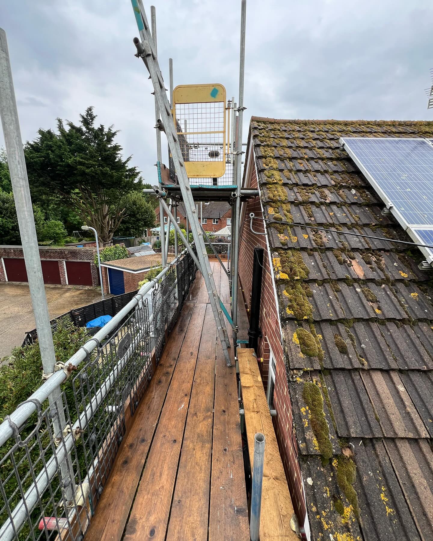 DMB Scaffolding project