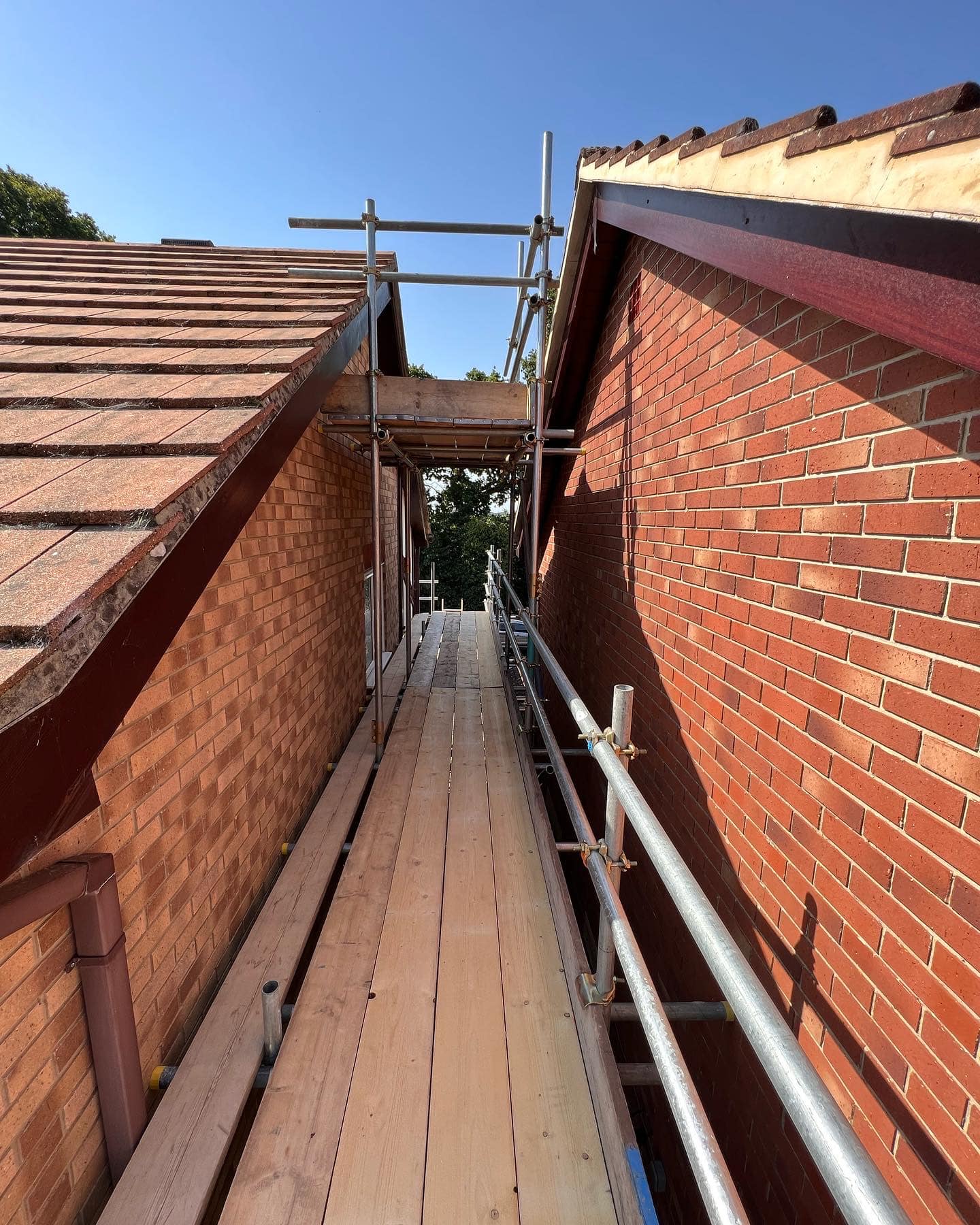 DMB Scaffolding project